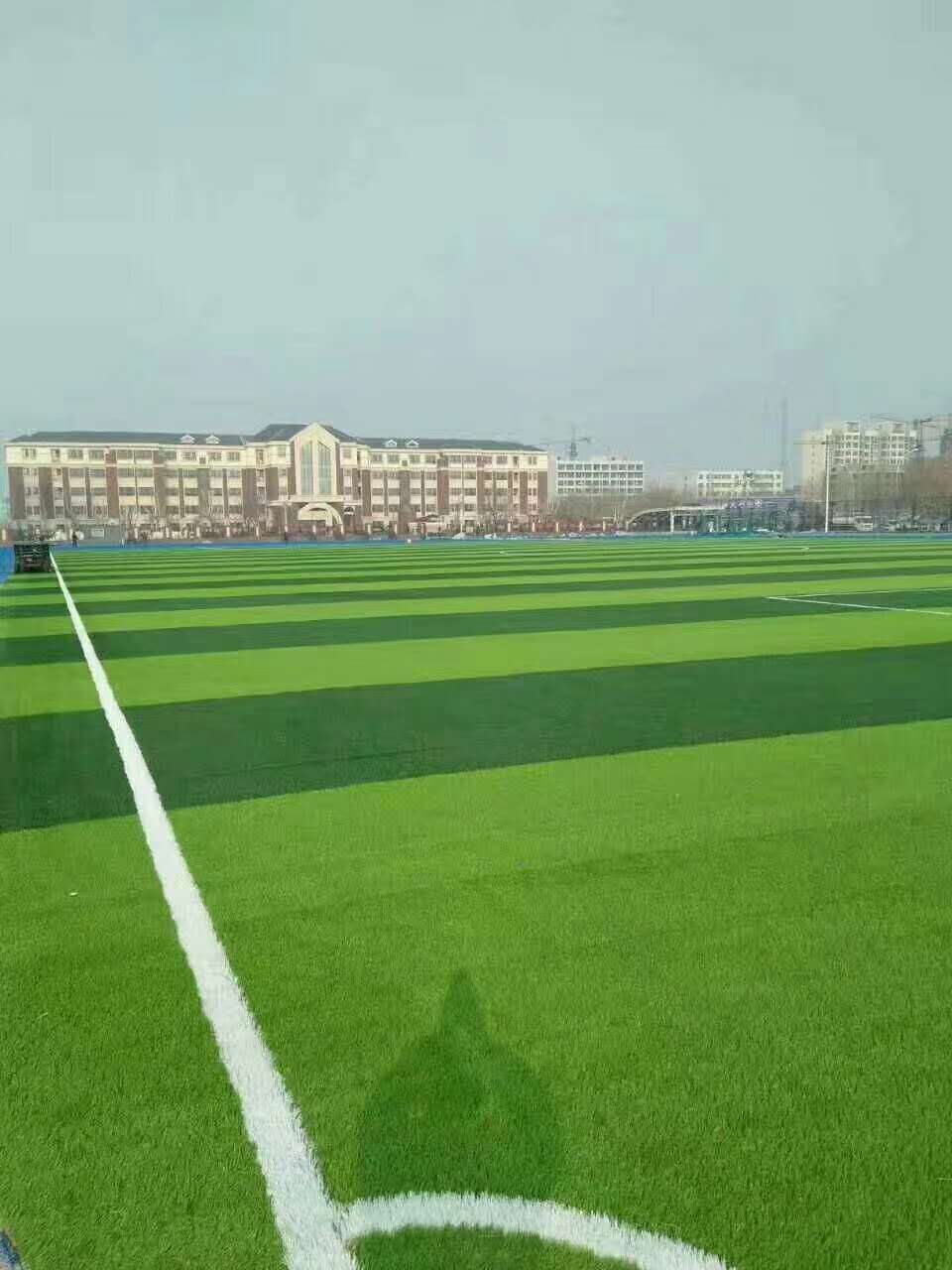 清远市学校运动操场仿真草坪 - 排名